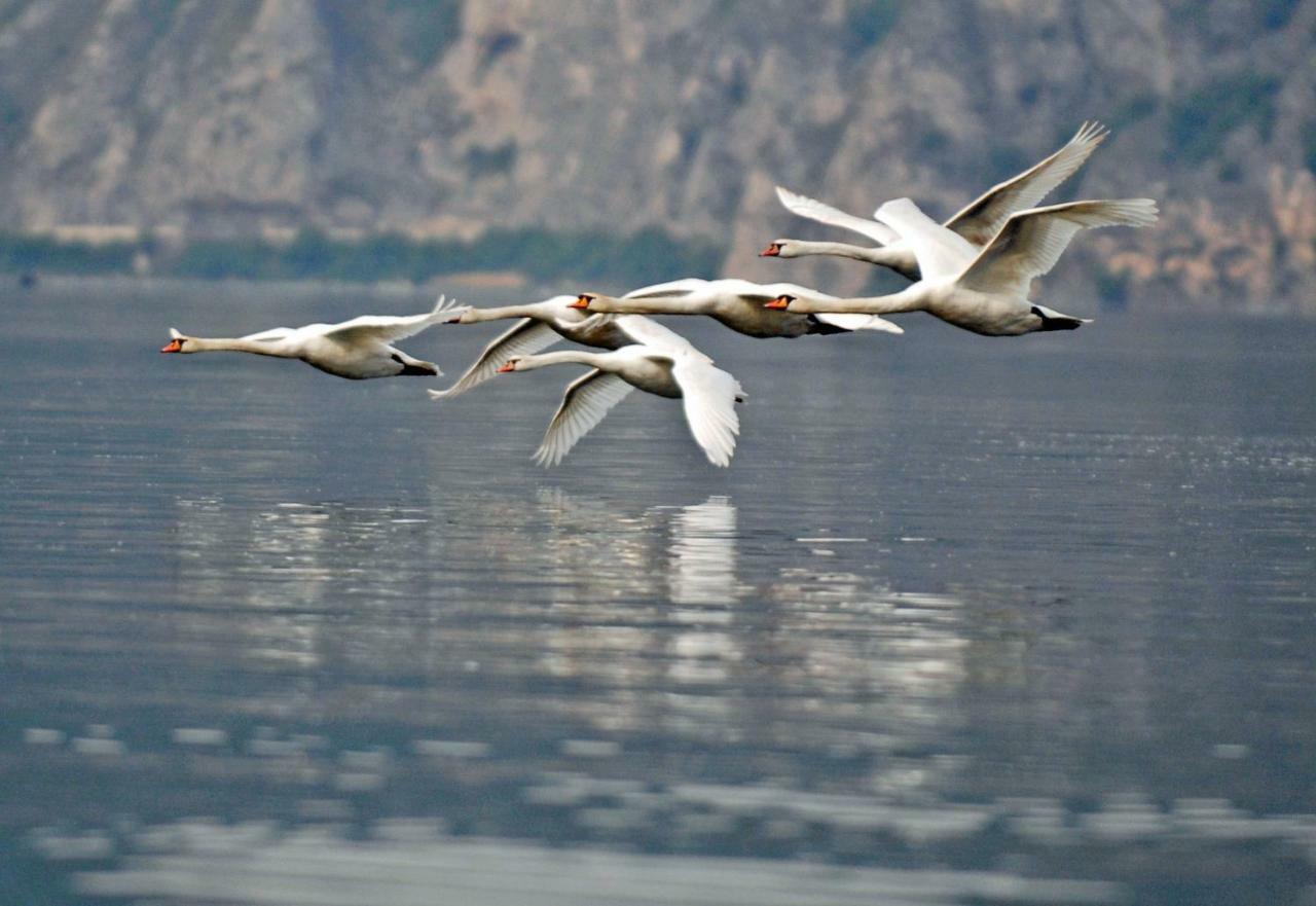 Castello Di Zorzino Iseo Lake Рива ди Солто Екстериор снимка